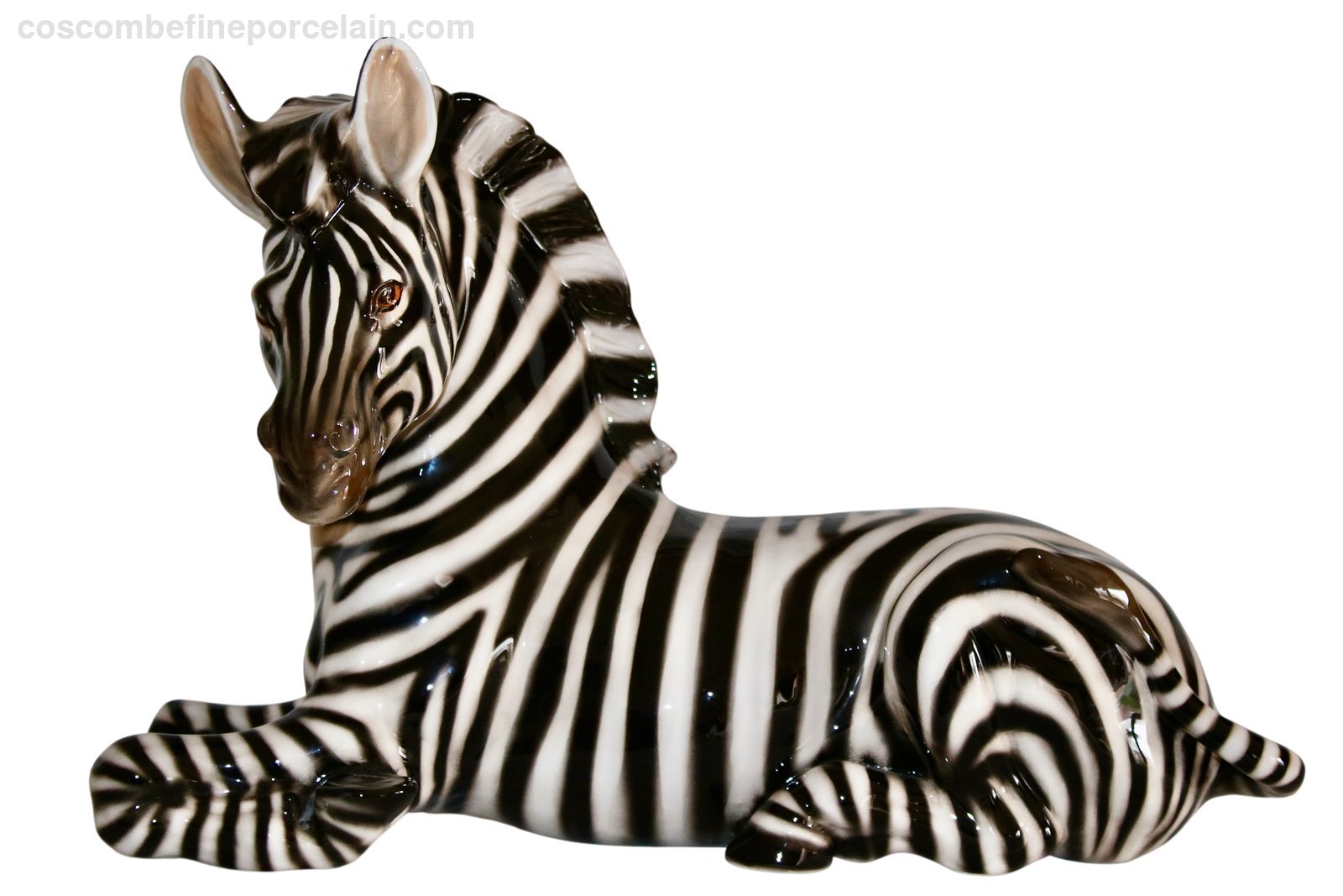 Zebra - Image 2