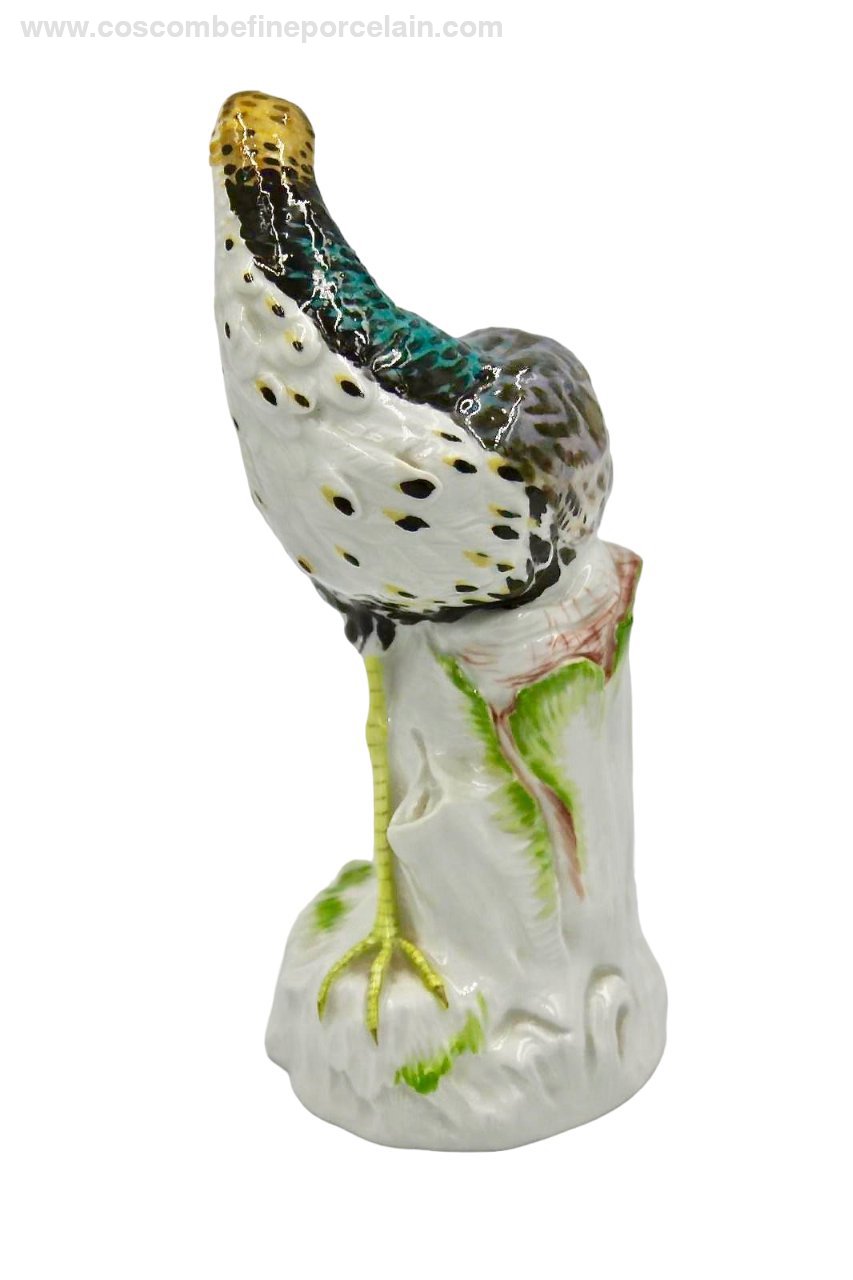 Meissen Porcelain Snipe