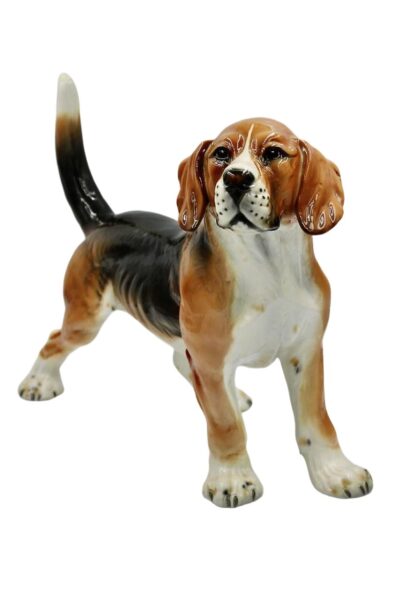 Ronzan dog - Beagle