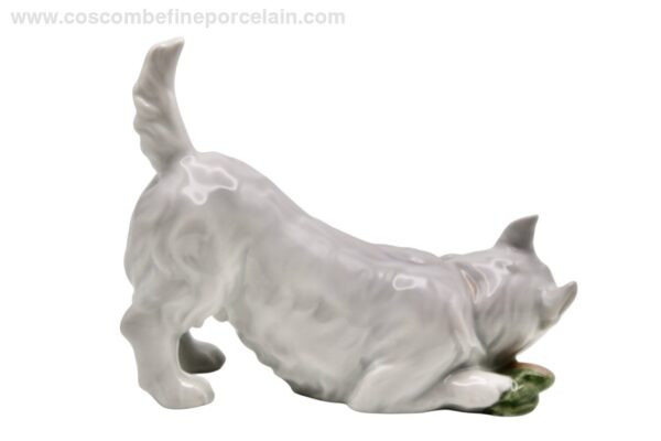 commonly shortened to Westie