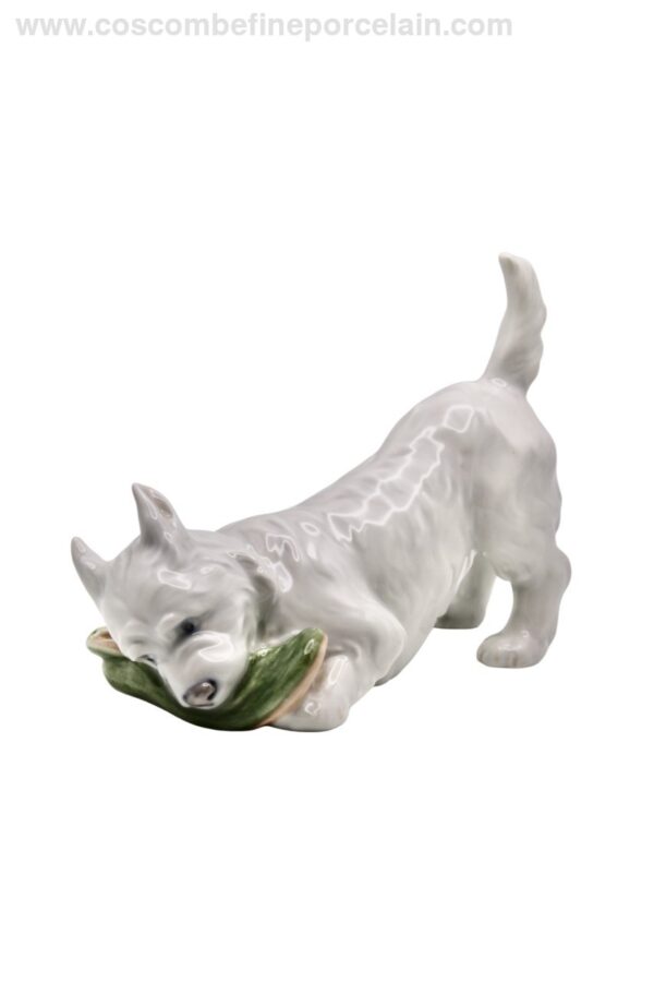 commonly shortened to Westie